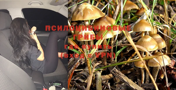 наркотики Беломорск